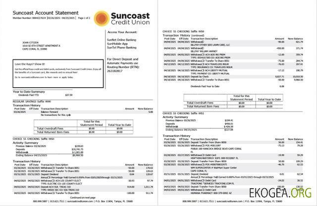 Modèle Word et PDF de relevé de compte USA Suncoast Bank, 2 pages